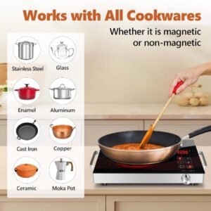 Infrared Cooker & Hot Plate